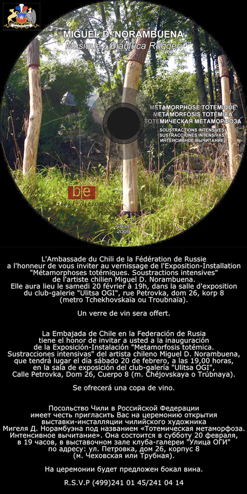 invitacion_Miguel_Norambuena - Exposicion-Instalacion: Metamorfosis_totemica.Sustracciones_intensivas